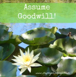 Assume Goodwill….