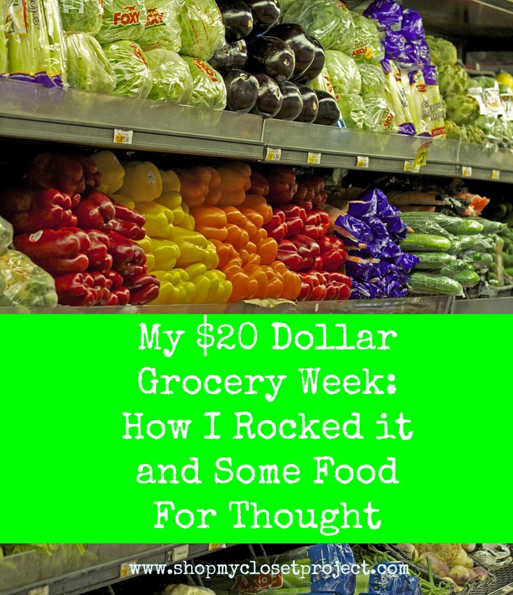 20 Dollar Grocery Shop - #moneyhungry