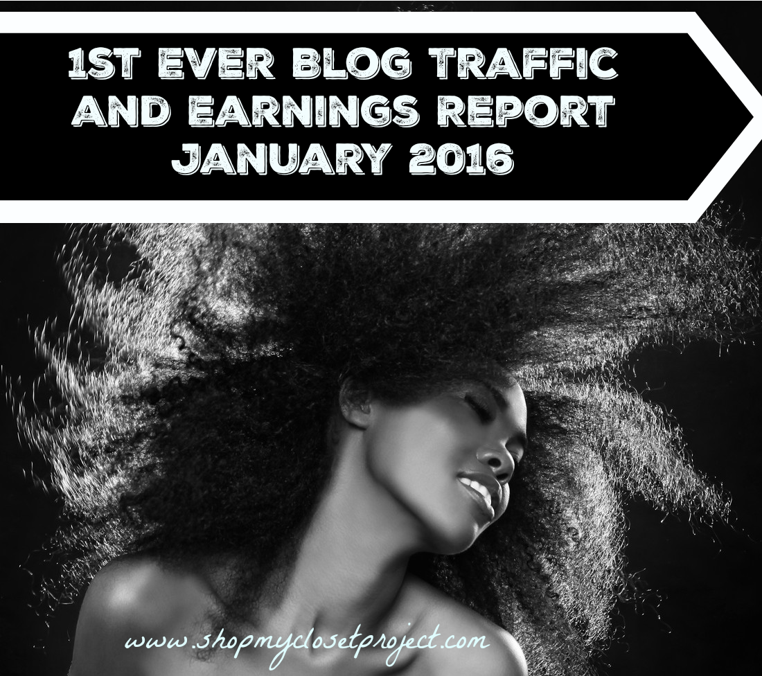 First Ever Blog Traffic and Income Report December and January