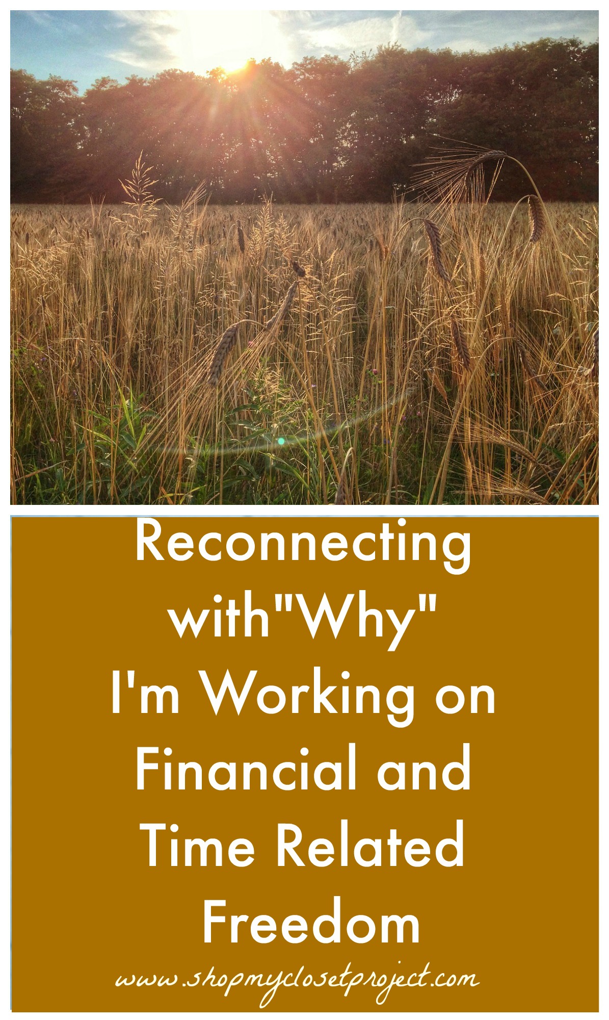 Reconnecting with”Why” I’m Working on Financial and Time Related Freedom