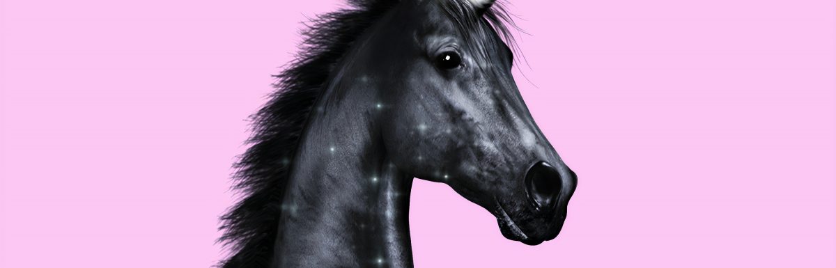 Time to Stop Normalizing the Personal Finance Unicorns