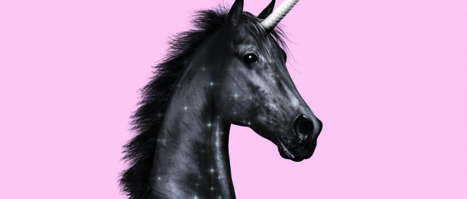 Personal Finance Unicorn